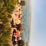 Mare *