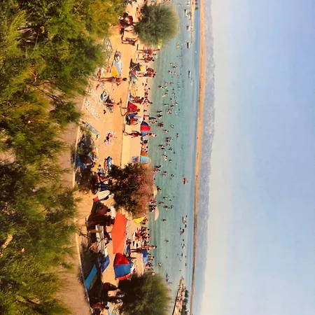 Mare *