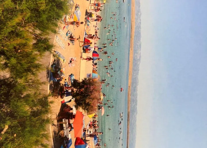 Mare *